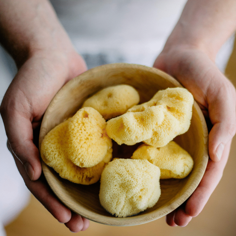 Prirodna svilena morska spužva